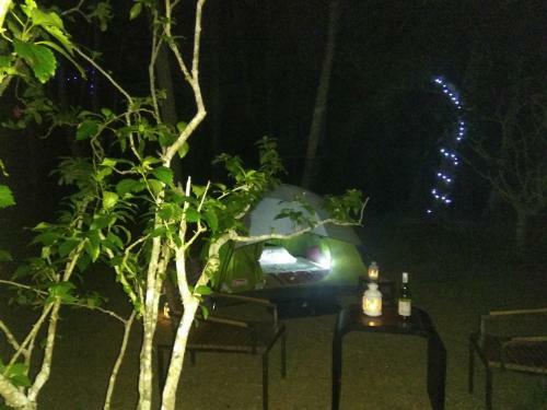Beach Holiday @ Tent