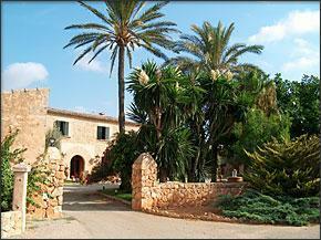 Hotel Puig De Ros D`alt