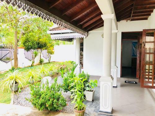 Cmb Trip N Chill Hostel