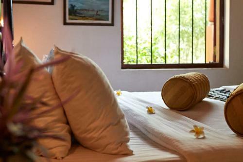 Hostal Villa Sunbird