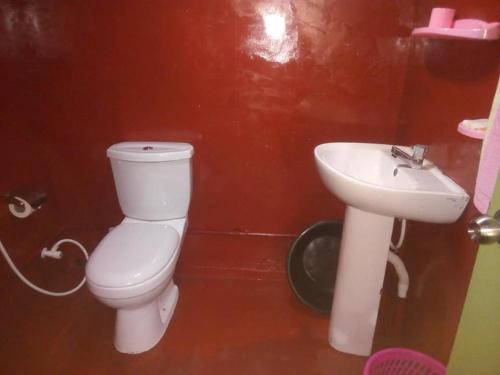 Star Sun Homestay