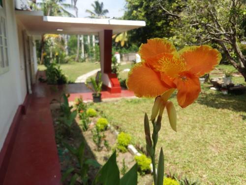 Hostal Glorious Villa