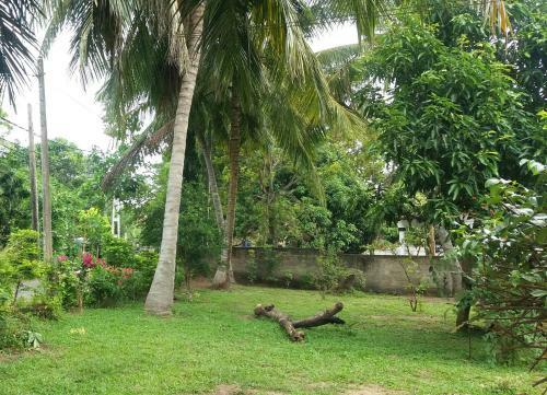 Hostal Glorious Villa