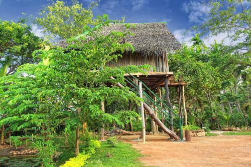 Lodge Lake Edge Cabana