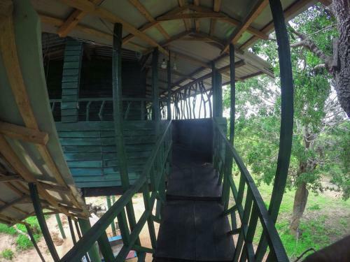 Yala Tree House Safari