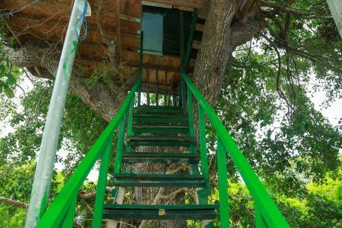 Yala Tree House Safari