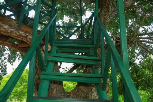 Yala Tree House Safari