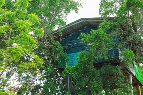Yala Tree House Safari