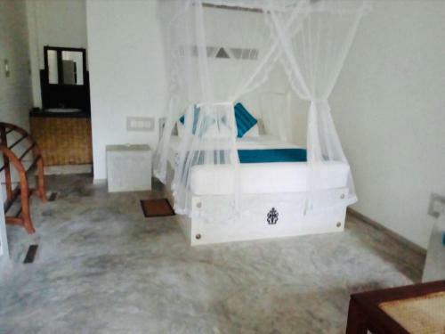 Hostal Dream Ocean