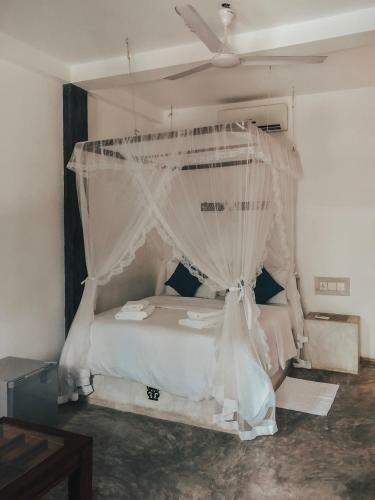 Hostal Dream Ocean
