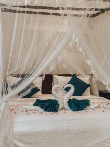 Hostal Dream Ocean