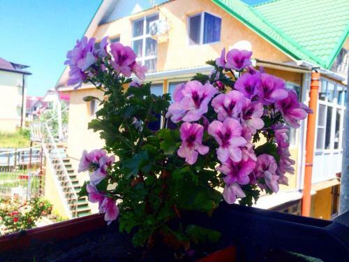 Hostal Guest House On Kamyshovaya 12 A