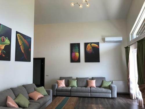 Apartment Imeretinskiy