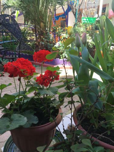 Apartamento Hotel Nadejda
