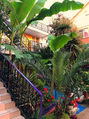 Apartamento Hotel Nadejda