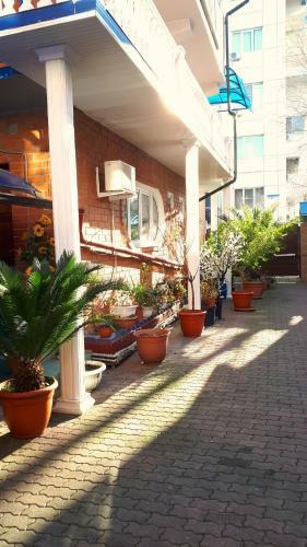 Apartamento Hotel Nadejda