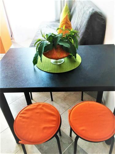 Apartment Orange