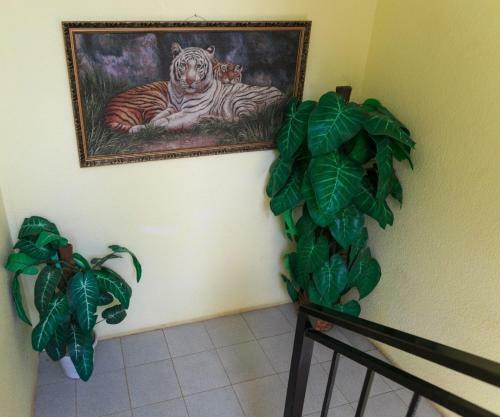 Hostal Anna Sofya Guest House