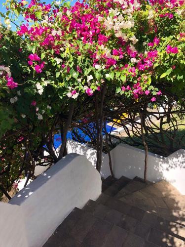 Casa De Playa Rincon Azul
