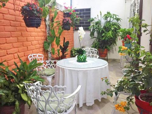 Beautiful & Spacious Terrace Room W/a Garden