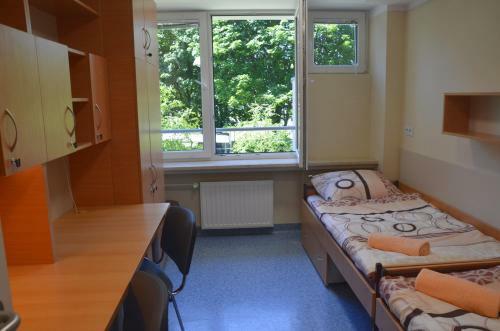 Albergue Babilon