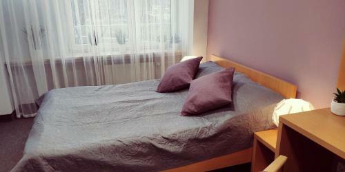 Albergue Babilon