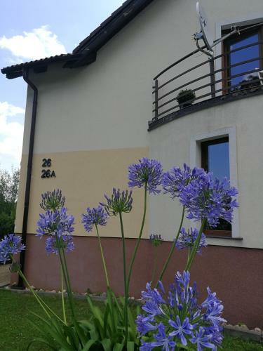 Apartamento Makadamia Karpacz