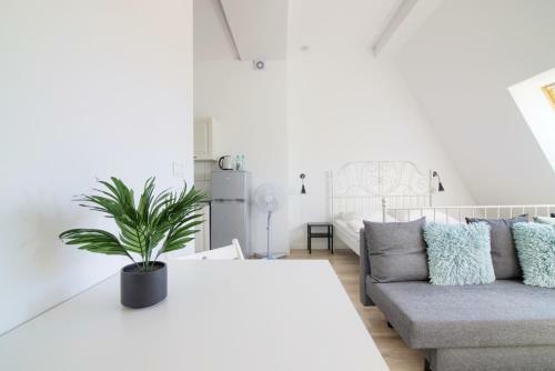 Apartments In - Plater