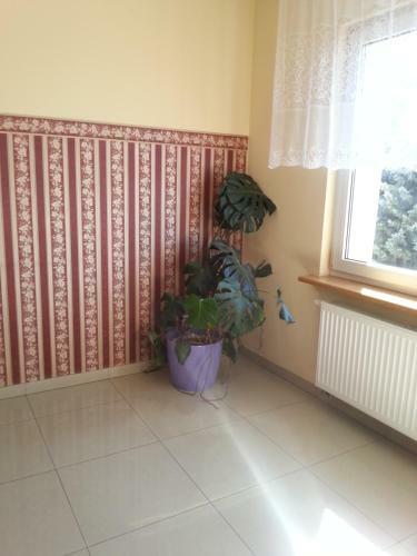 Albergue Henrix