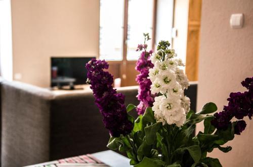 Apartamento Studio 43