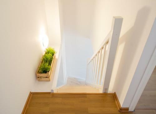 A.s. Home Ko?ciuszki Apartament Dwupoziomowy