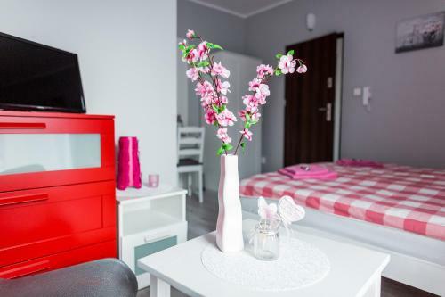 Albergue Grey House