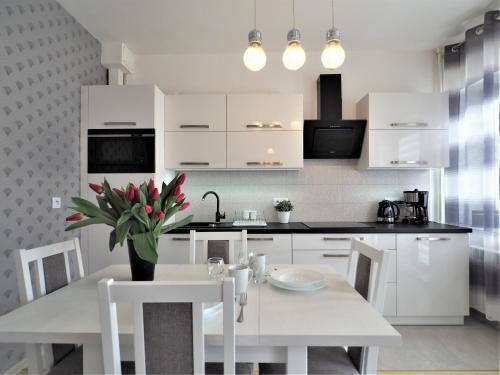 Vip Apartamenty Krup�wki