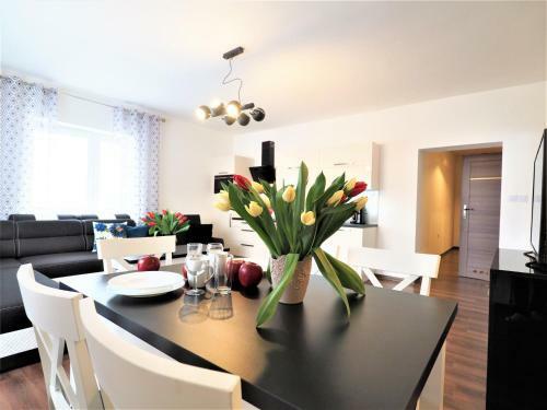 Vip Apartamenty Krup�wki