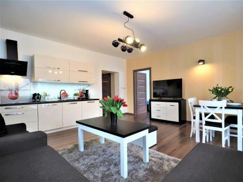 Vip Apartamenty Krup�wki