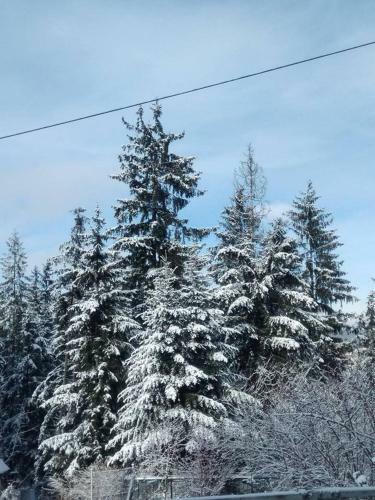 Hostal Cicha Dolinka