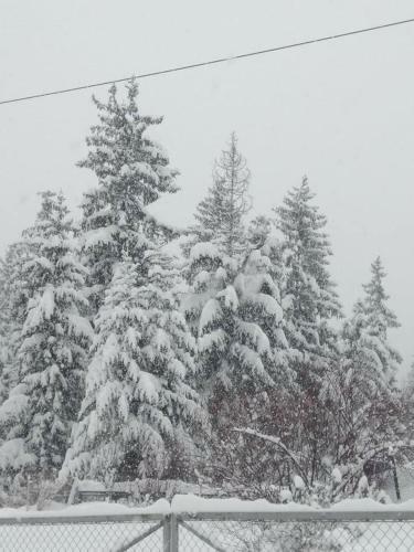 Hostal Cicha Dolinka