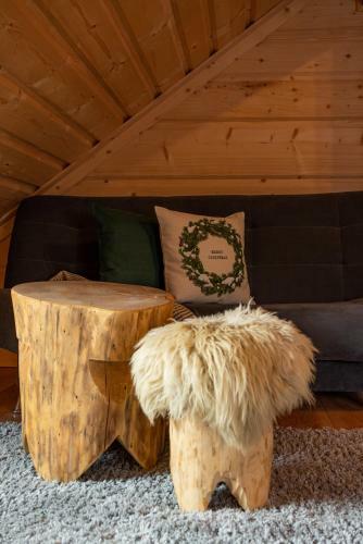 Apartamenty Willa Olsza