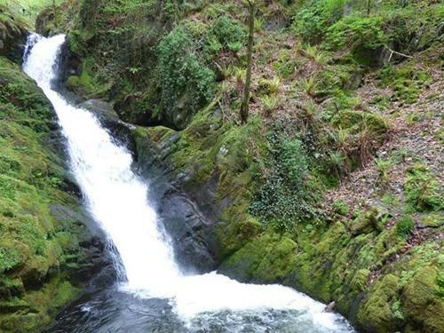 Dolgoch Falls