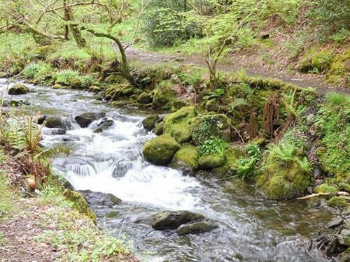 Dolgoch Falls