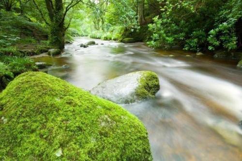 Ghyll Heights