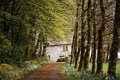 Hostal The Cherrybrook