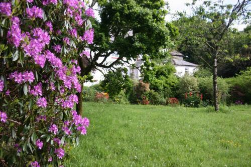 Hostal The Cherrybrook