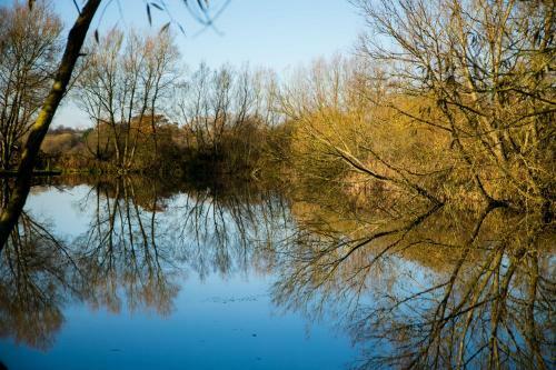 Lodge Fairwood Lakes Holiday Park