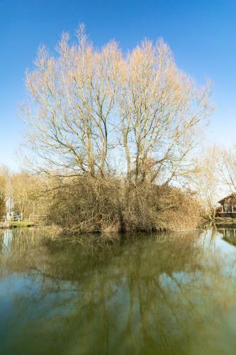 Lodge Fairwood Lakes Holiday Park
