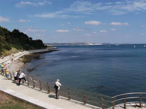 Driftwood, Weymouth