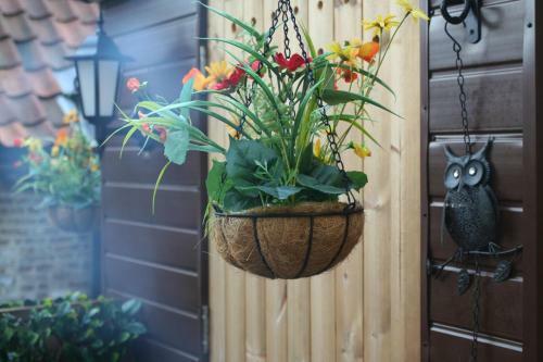 Bed & Breakfast Abbey Holiday Accommodation