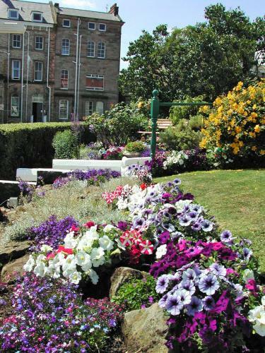 Hostal Whitehaven Guest House
