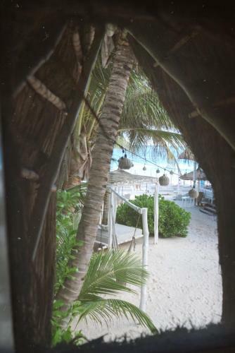Hotel Playa Mambo Eco Cabanas