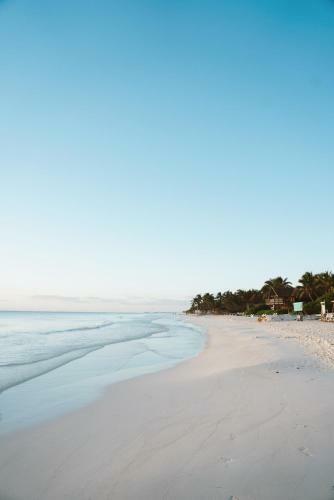 Hotel Playa Mambo Eco Cabanas